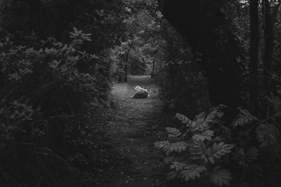 Fotografía blanco y negro desierto de Atacama
