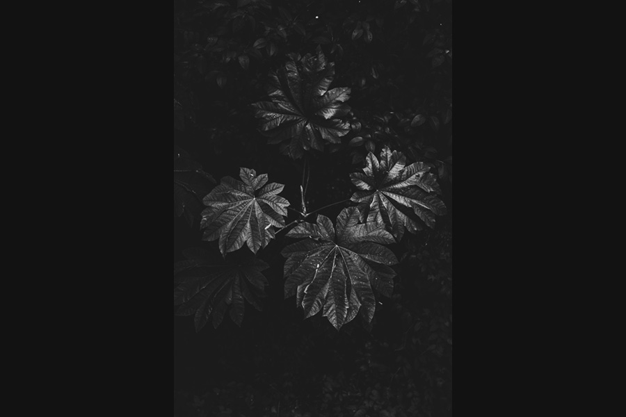 Fotografía blanco y negro desierto de Atacama