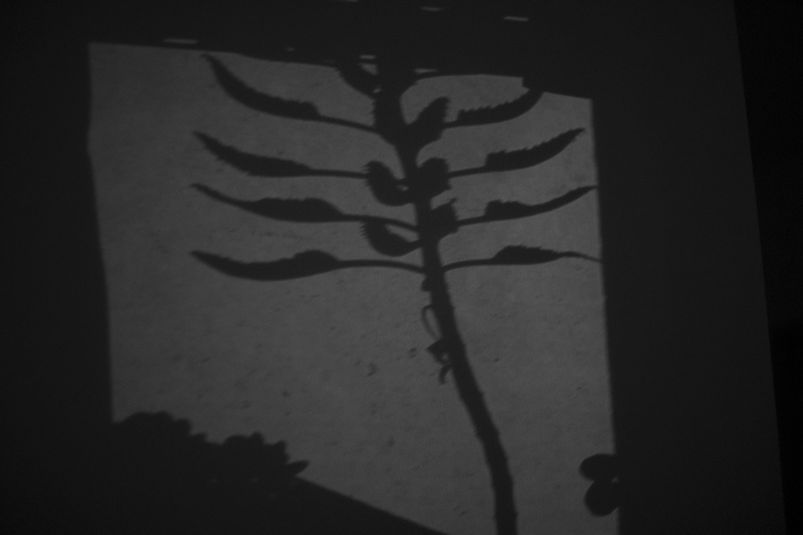 Fotografía blanco y negro