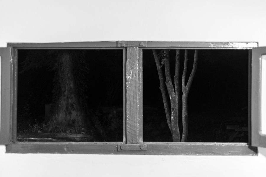 Fotografía blanco y negro