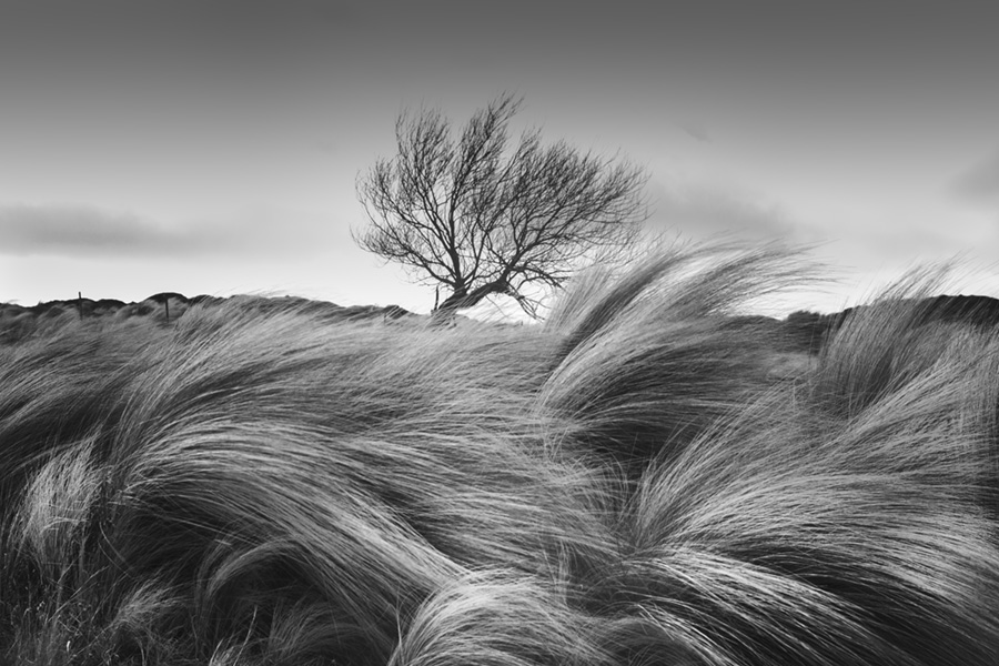 Fotografía blanco y negro