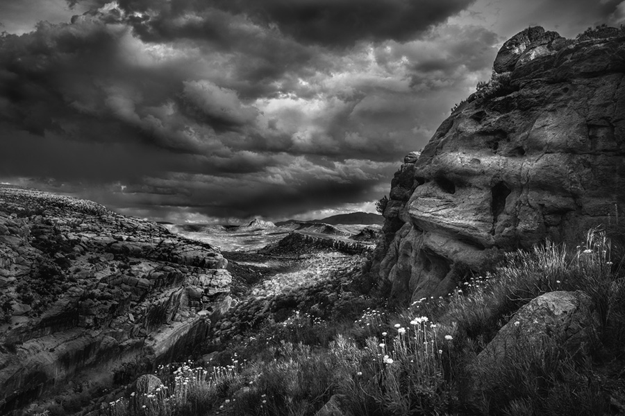 Fotografía blanco y negro