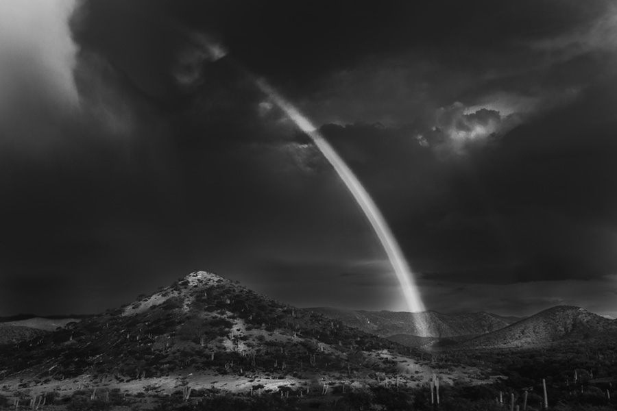 Fotografía blanco y negro 