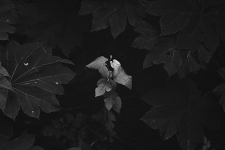 fotografia en blanco y negro del desierto de atacama