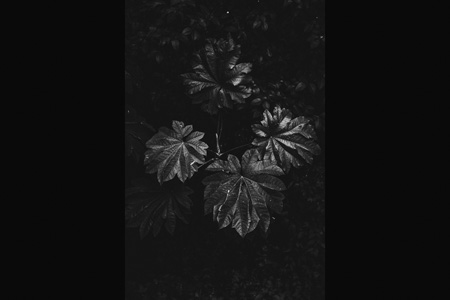 fotografia en blanco y negro del desierto de atacama