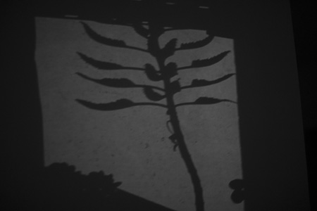 fotografia en blanco y negro del desierto de atacama