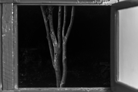 fotografia en blanco y negro del desierto de atacama