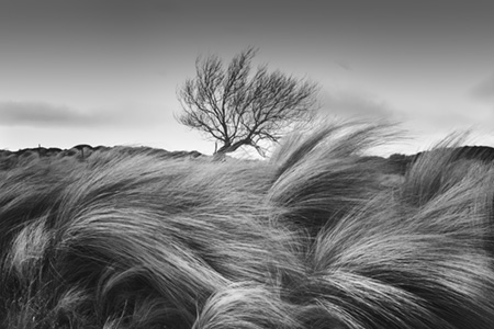 fotografia en blanco y negro del desierto de atacama
