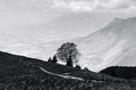 fotografia en blanco y negro del desierto de atacama
